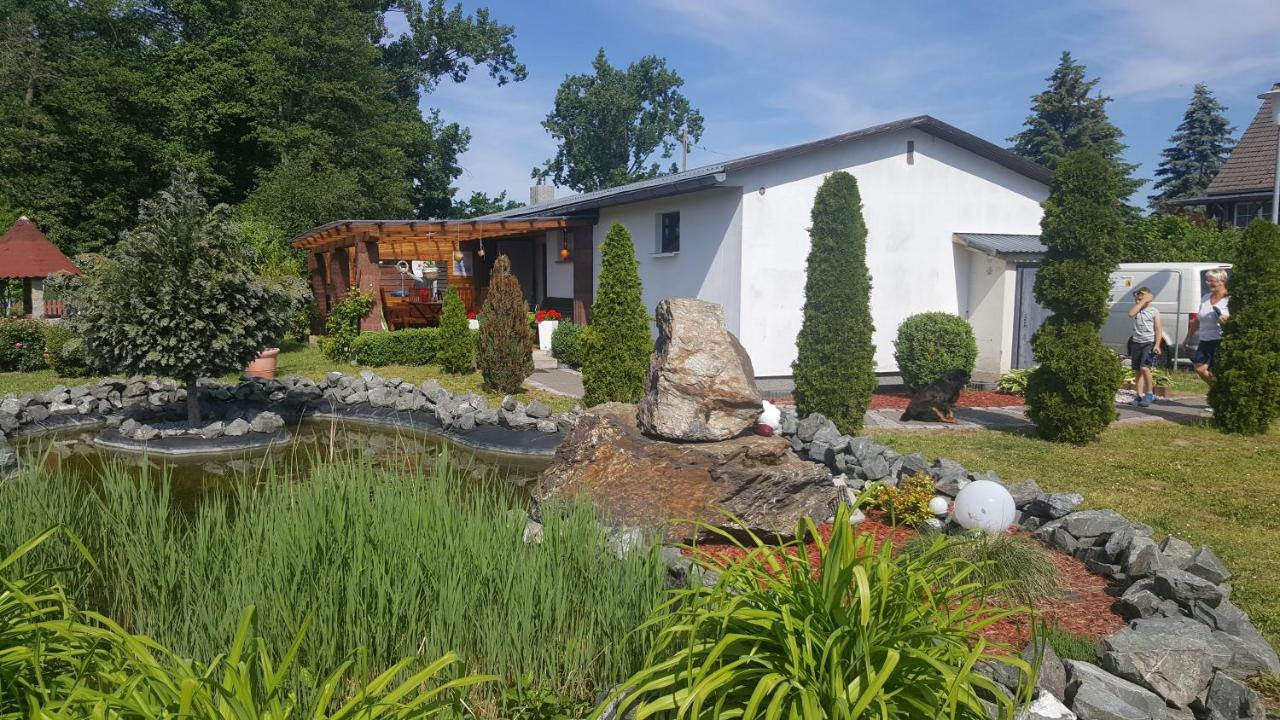 Ferienhaus Am Teich Rottleberode 外观 照片